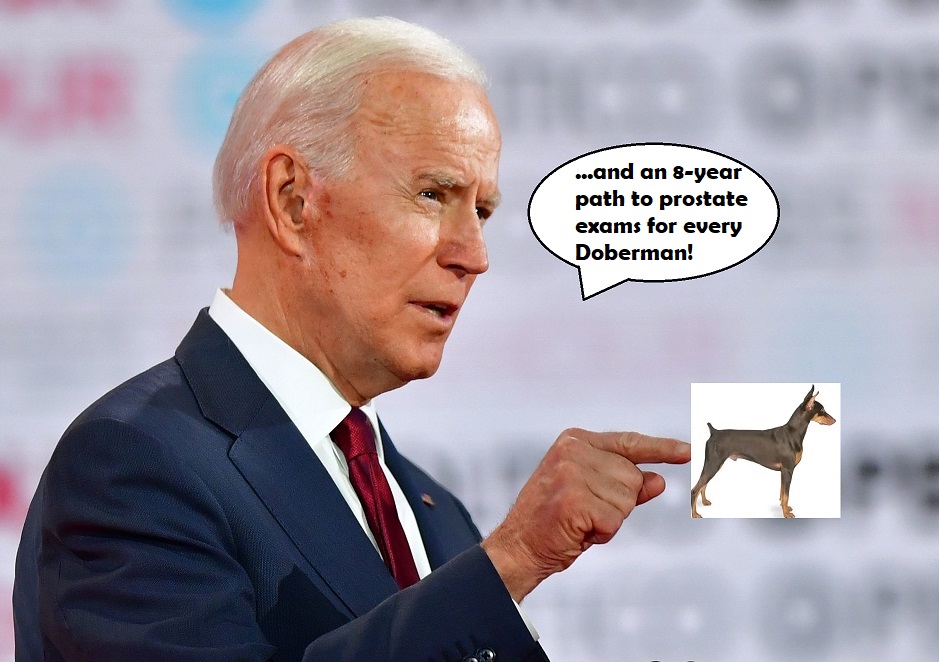 Joe Biden Performing Prostate Exam On Doberman